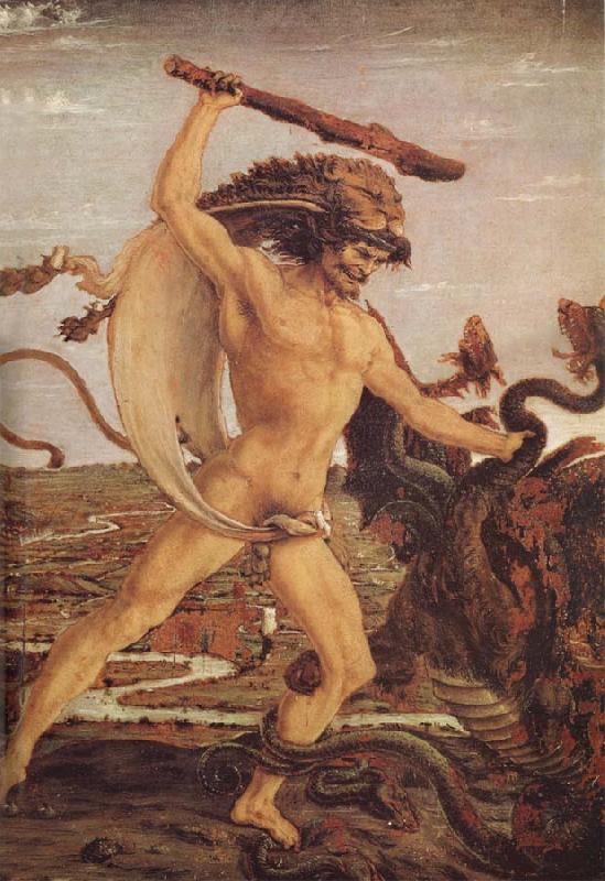 Antonio del Pollaiuolo Hercules and the Hydra oil painting image